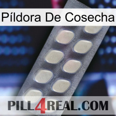 Píldora De Cosecha 08